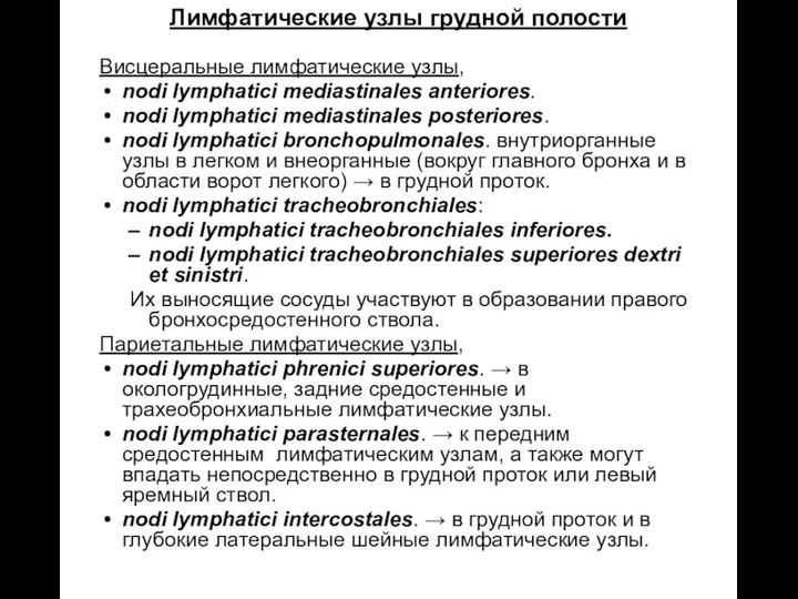 Лимфатические узлы грудной полости Висцеральные лимфатические узлы, nodi lymphatici mediastinales