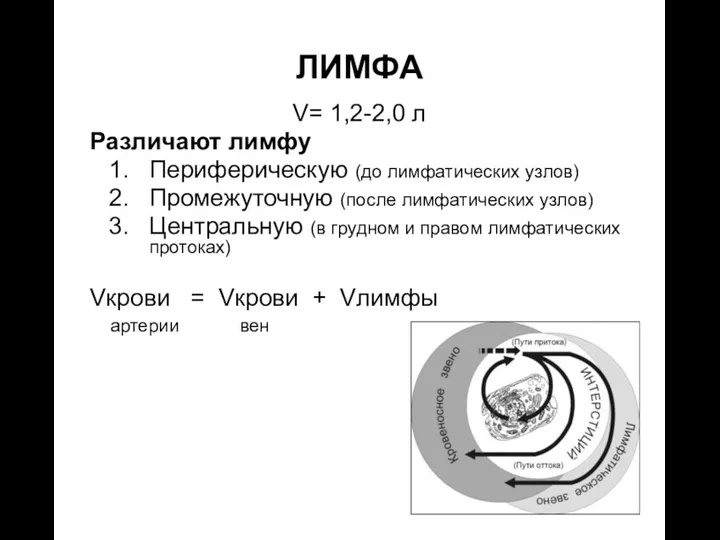 ЛИМФА V= 1,2-2,0 л Различают лимфу Периферическую (до лимфатических узлов)