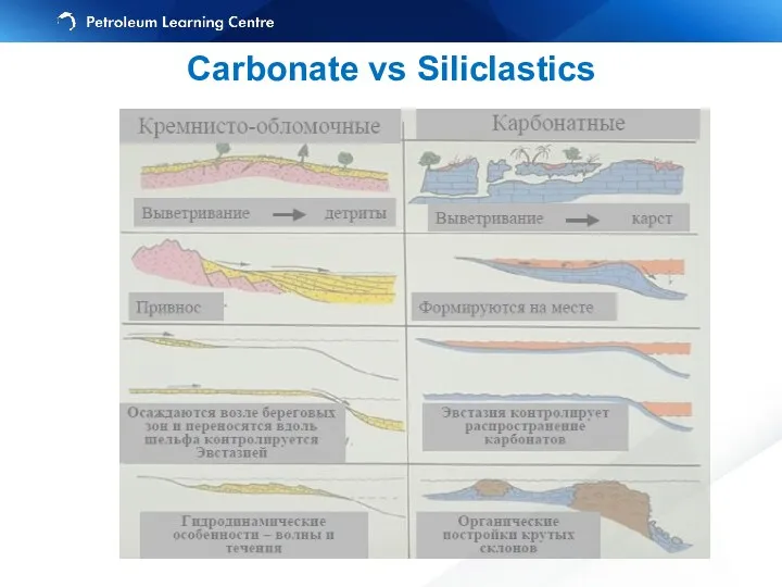 Carbonate vs Siliclastics