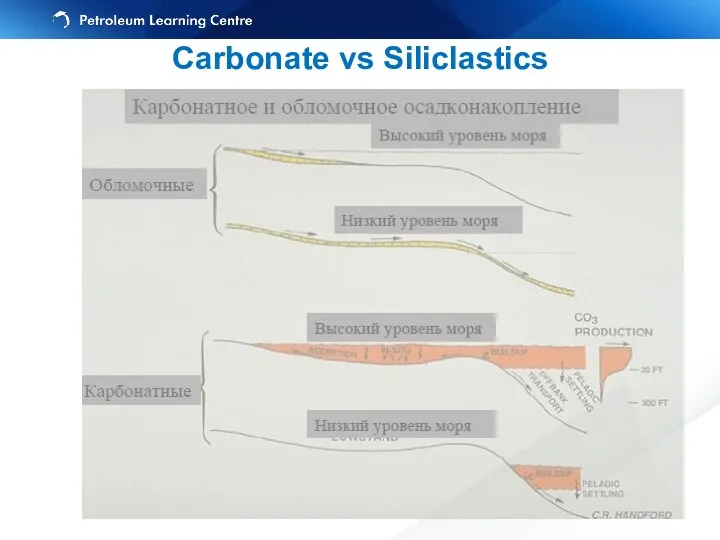 Carbonate vs Siliclastics