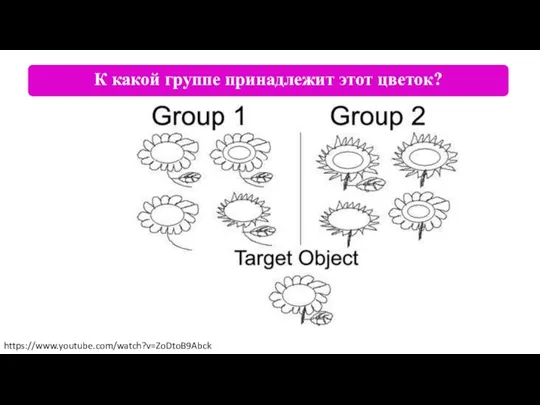 К какой группе принадлежит этот цветок? https://www.youtube.com/watch?v=ZoDtoB9Abck