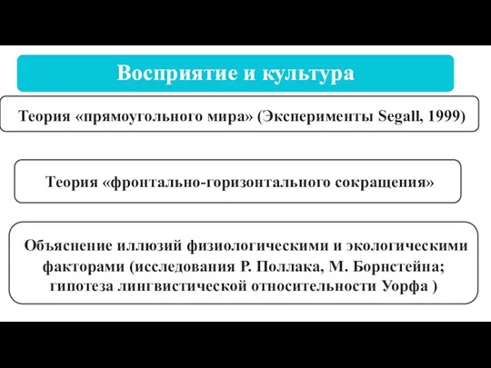 Восприятие и культура Теория «прямоугольного мира» (Эксперименты Segall, 1999) Теория