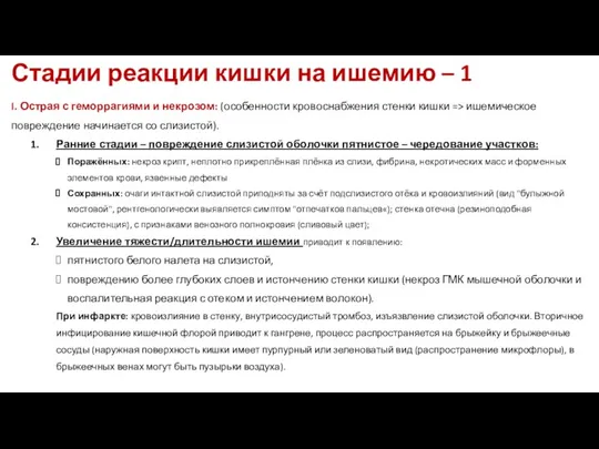 Стадии реакции кишки на ишемию – 1 I. Острая с геморрагиями и некрозом: