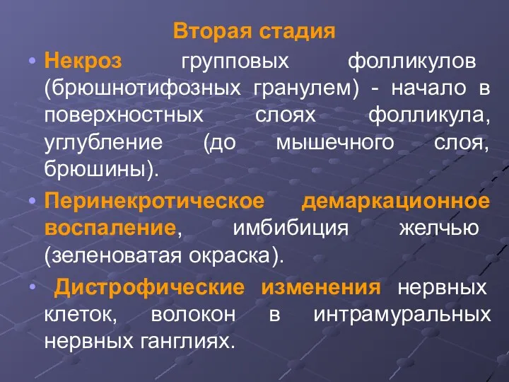 Вторая стадия Некроз групповых фолликулов (брюшнотифозных гранулем) - начало в