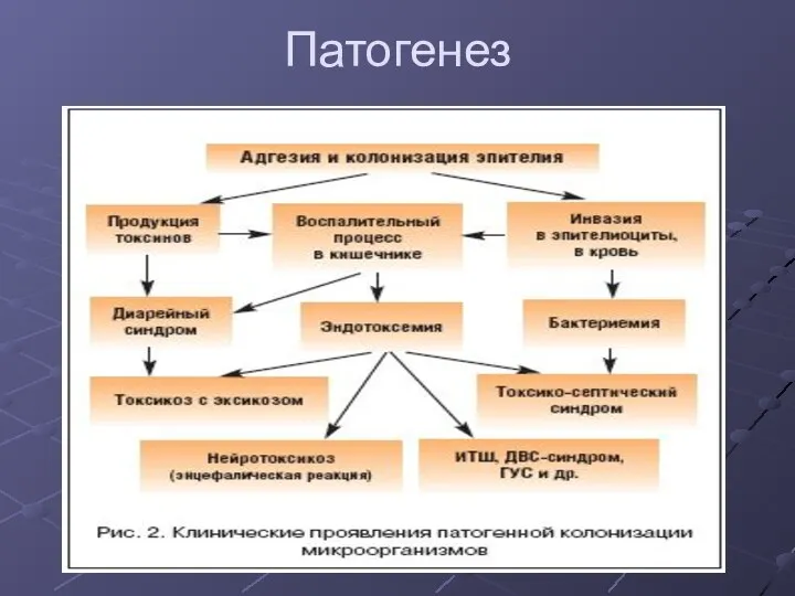 Патогенез