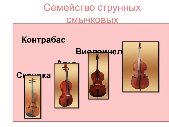 Семейство струнных смычковых Контрабас Виолончель Альт Скрипка