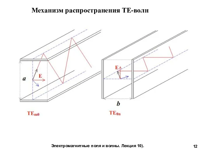 Электромагнитные поля и волны. Лекция 10). Механизм распространения ТЕ-волн