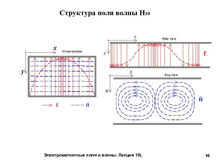 Электромагнитные поля и волны. Лекция 10). Структура поля волны Н10