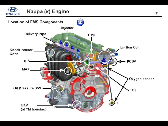 Location of EMS Components Injector Delivery Pipe CMP TPS MAP