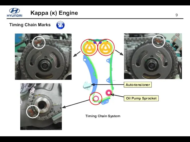 Timing Chain Marks Timing Chain System Auto-tensioner Oil Pump Sprocket