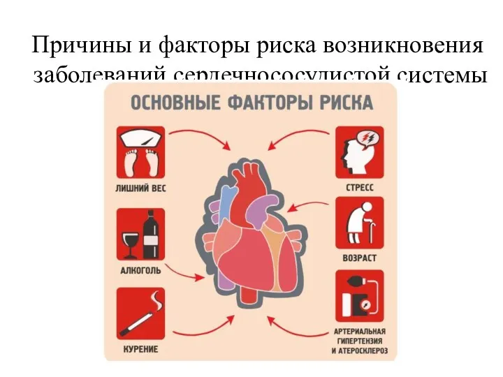 Причины и факторы риска возникновения заболеваний сердечнососудистой системы
