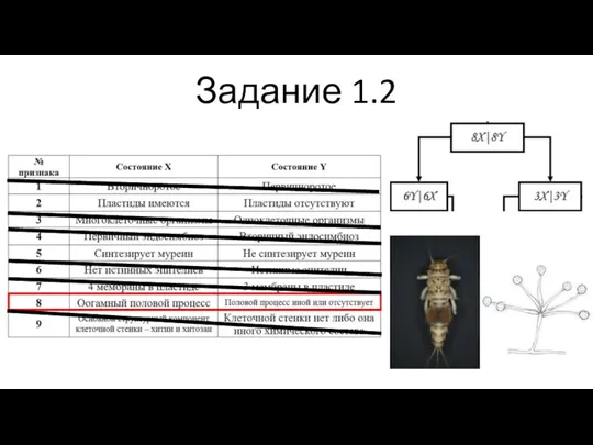 Задание 1.2