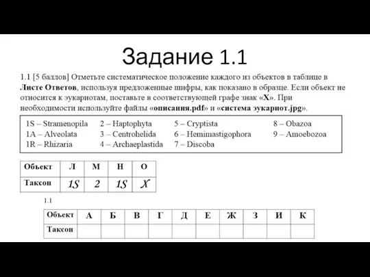 Задание 1.1