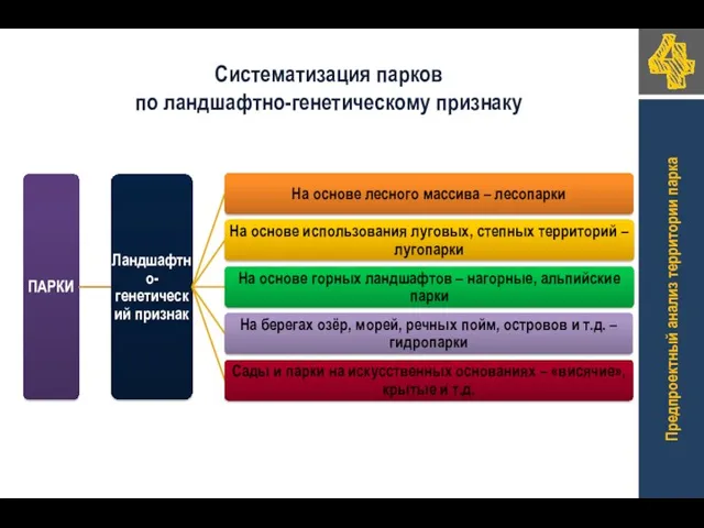 Систематизация парков по ландшафтно-генетическому признаку Предпроектный анализ территории парка