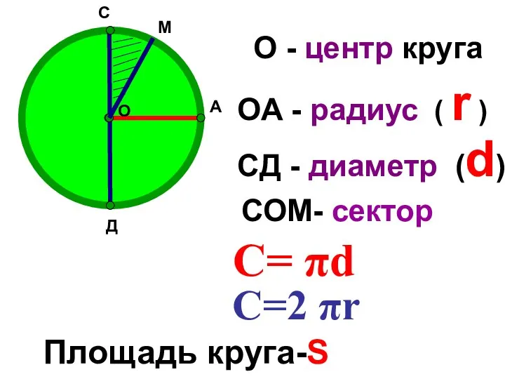 О А С Д О - центр круга ОА -