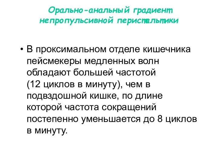 Орально-анальный градиент непропульсивной перистальтики В проксимальном отделе кишечника пейсмекеры медленных