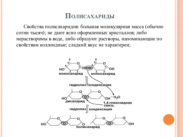 Полисахариды Свойства полисахаридов: большая молекулярная масса (обычно сотни тысяч); не