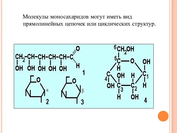 Молекулы моносахаридов могут иметь вид прямолинейных цепочек или циклических структур.