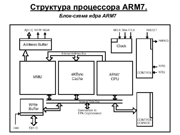 Структура процессора ARM7. Блок-схема ядра ARM7