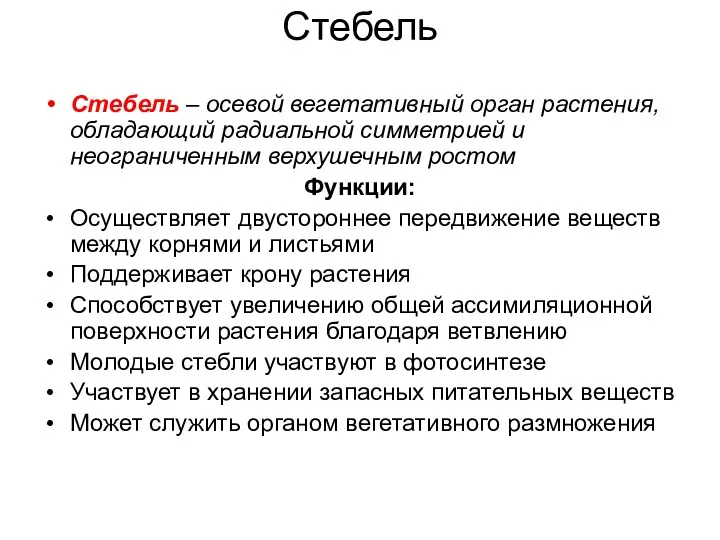 Стебель Стебель – осевой вегетативный орган растения, обладающий радиальной симметрией