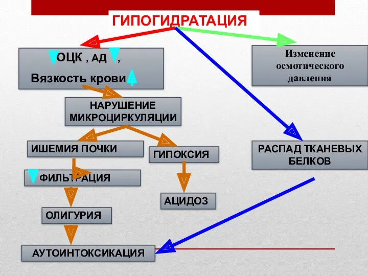 ГИПОГИДРАТАЦИЯ ОЦК , АД , Вязкость крови НАРУШЕНИЕ МИКРОЦИРКУЛЯЦИИ ИШЕМИЯ