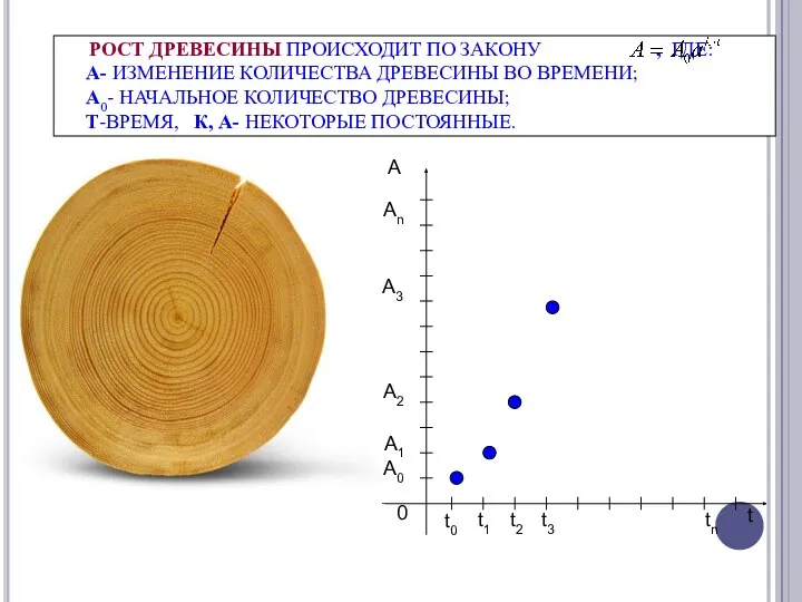 РОСТ ДРЕВЕСИНЫ ПРОИСХОДИТ ПО ЗАКОНУ , ГДЕ: A- ИЗМЕНЕНИЕ КОЛИЧЕСТВА