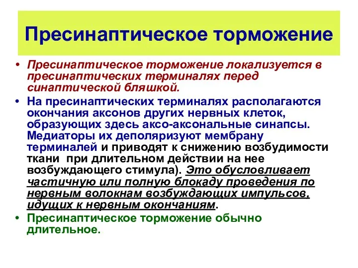 Пресинаптическое торможение Пресинаптическое торможение локализуется в пресинаптических терминалях перед синаптической