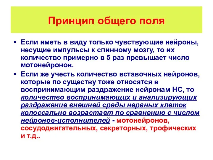 Принцип общего поля Если иметь в виду только чувствующие нейроны,