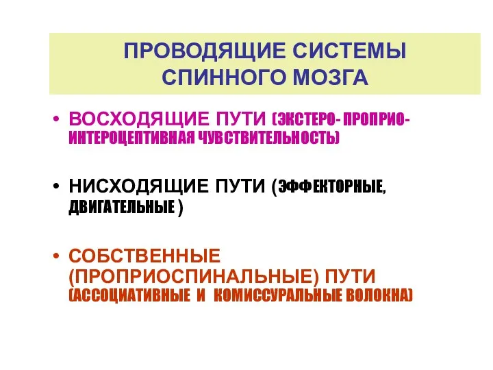 ПРОВОДЯЩИЕ СИСТЕМЫ СПИННОГО МОЗГА ВОСХОДЯЩИЕ ПУТИ (ЭКСТЕРО- ПРОПРИО-ИНТЕРОЦЕПТИВНАЯ ЧУВСТВИТЕЛЬНОСТЬ) НИСХОДЯЩИЕ ПУТИ (ЭФФЕКТОРНЫЕ, ДВИГАТЕЛЬНЫЕ