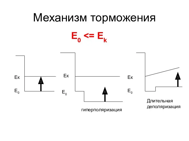 Механизм торможения Е0 Ек Ек Ек Е0 Е0 Е0 гиперполяризация Длительная деполяризация