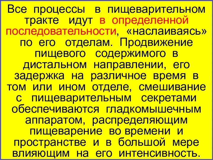 Все процессы в пищеварительном тракте идут в определенной последовательности, «наслаиваясь»