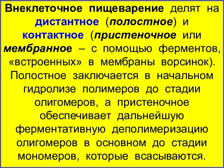 Внеклеточное пищеварение делят на дистантное (полостное) и контактное (пристеночное или