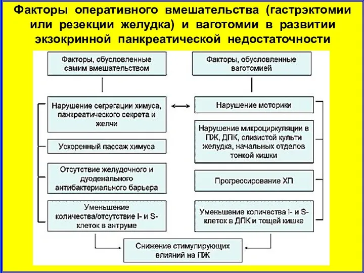 Факторы оперативного вмешательства (гастрэктомии или резекции желудка) и ваготомии в развитии экзокринной панкреатической недостаточности