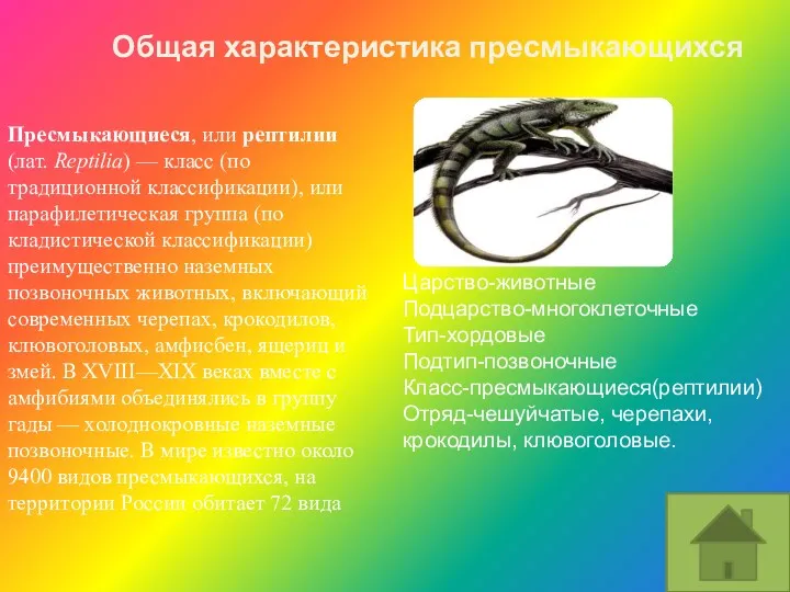 Царство-животные Подцарство-многоклеточные Тип-хордовые Подтип-позвоночные Класс-пресмыкающиеся(рептилии) Отряд-чешуйчатые, черепахи, крокодилы, клювоголовые. Пресмыкающиеся,