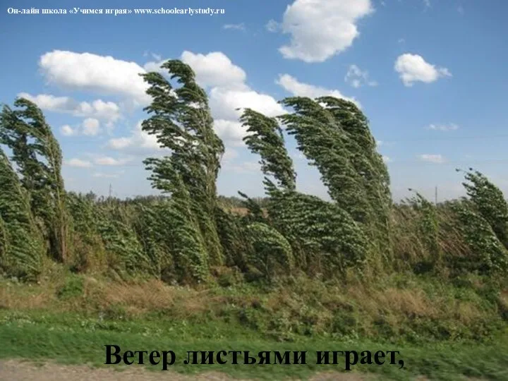 Ветер листьями играет, Он-лайн школа «Учимся играя» www.schoolearlystudy.ru