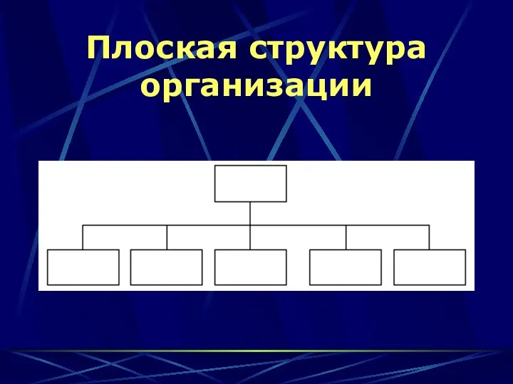 Плоская структура организации