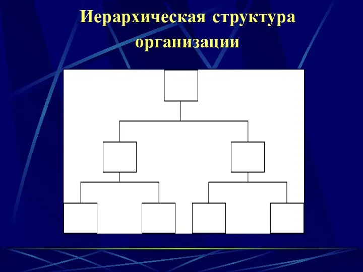 Иерархическая структура организации