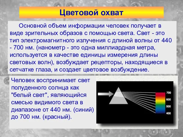 Цветовой охват Основной объем информации человек получает в виде зрительных