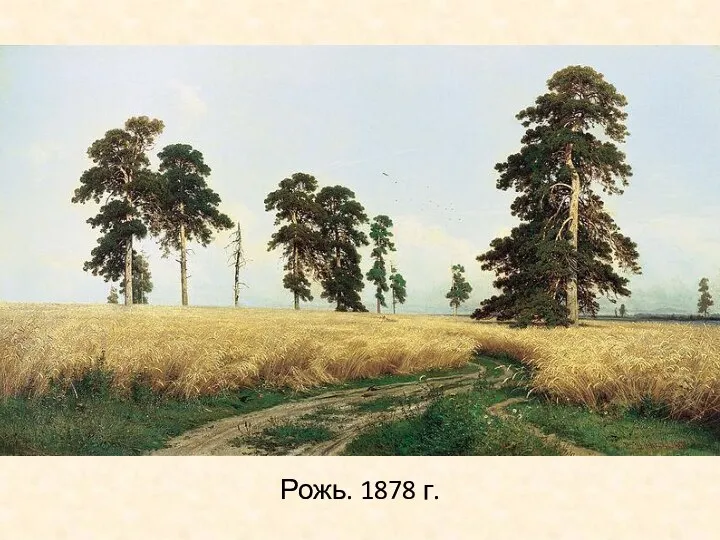 Рожь. 1878 г.