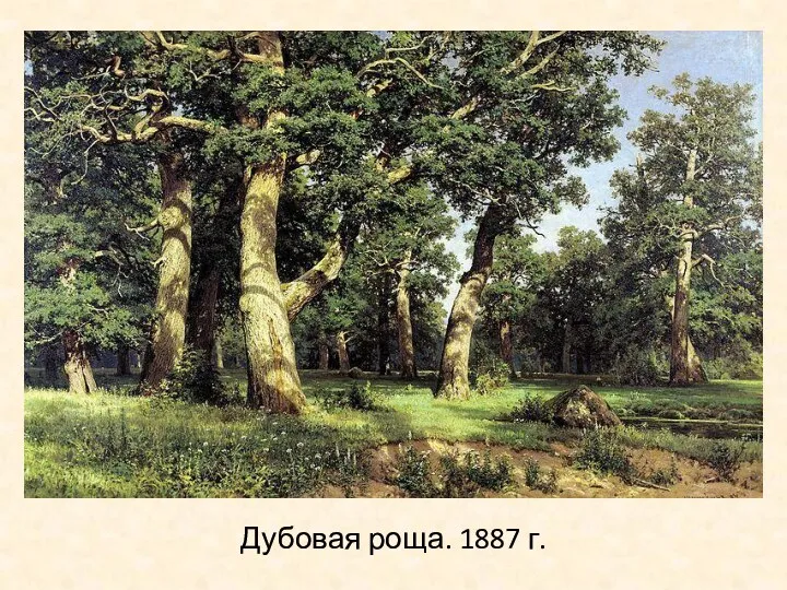 Дубовая роща. 1887 г.