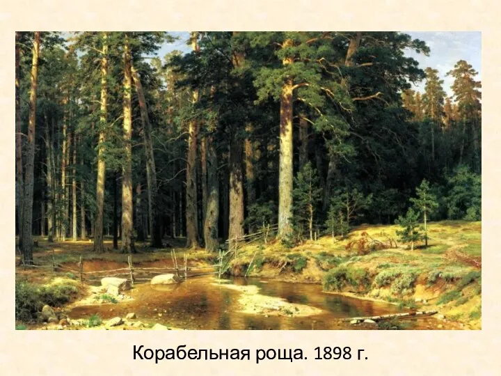 Корабельная роща. 1898 г.