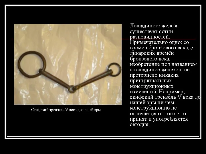 Лошадиного железа существует сотни разновидностей. Примечательно одно: со времён бронзового