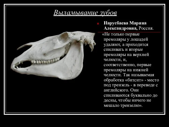 Выламывание зубов Нарусбаева Марина Александровна, Россия. «Не только первые премоляры