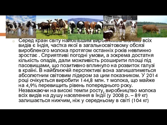 Серед країн світу найбільшим виробником молока всіх видів є Індія,