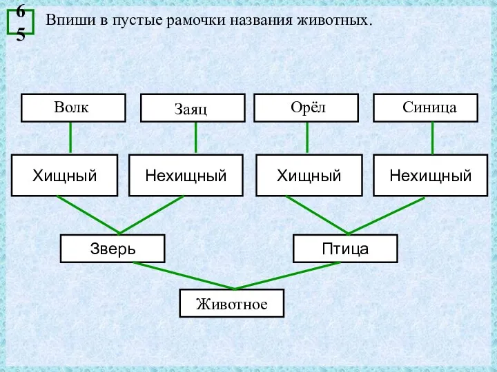 Впиши в пустые рамочки названия животных. 65 Хищный Зверь Животное