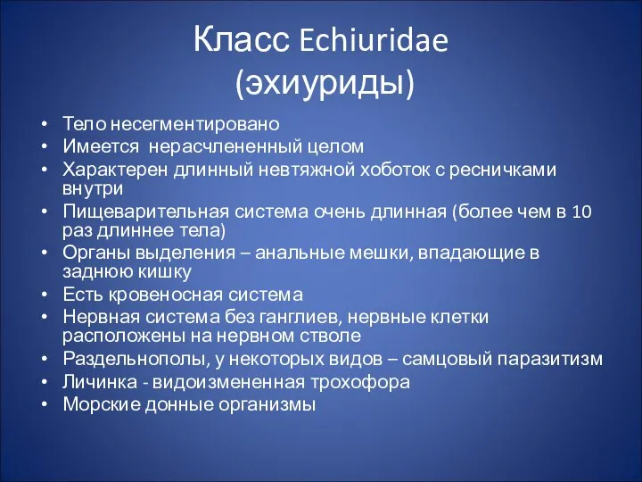 Класс Echiuridae (эхиуриды) Тело несегментировано Имеется нерасчлененный целом Характерен длинный