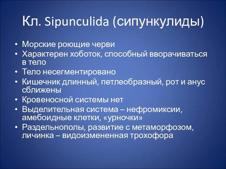 Кл. Sipunculida (сипункулиды) Морские роющие черви Характерен хоботок, способный вворачиваться