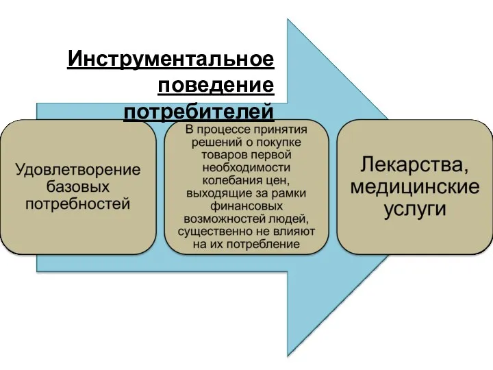 Инструментальное поведение потребителей