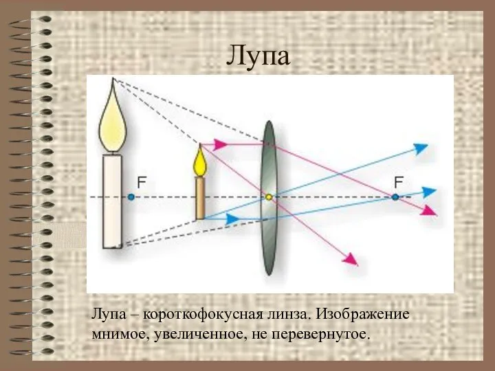 Лупа Лупа – короткофокусная линза. Изображение мнимое, увеличенное, не перевернутое.