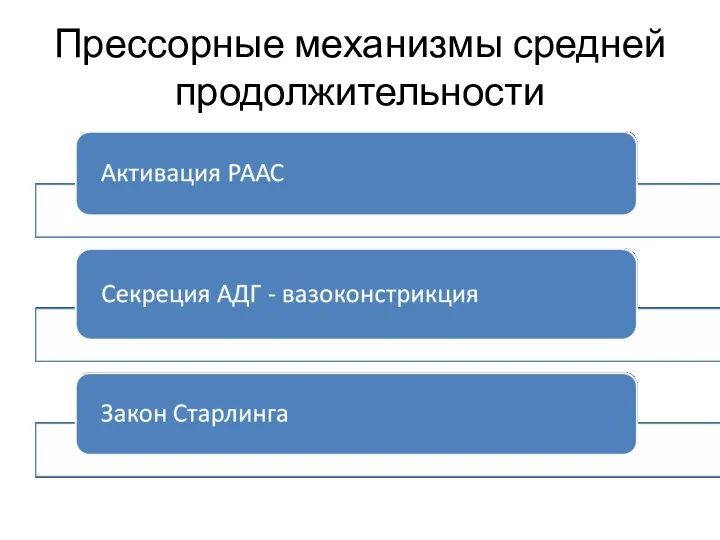 Прессорные механизмы средней продолжительности